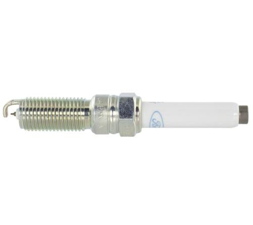 FORD PERFORMANCE VDE COLD SPARK PLUG SET (Pre-gapped) - 2021-2026 F150 5.0L